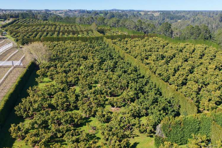 232C Williams Road North Pyes Pa_12