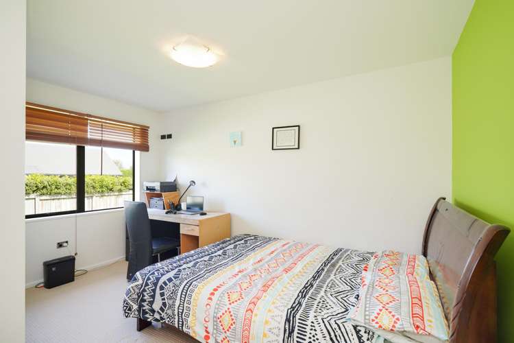 28 Majestic Chance Seaward Bush_14