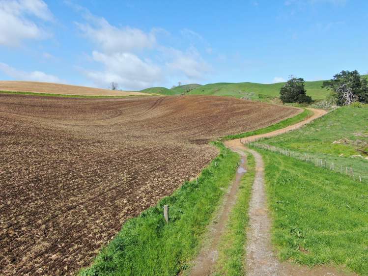 48 Barber Road Otewa_8