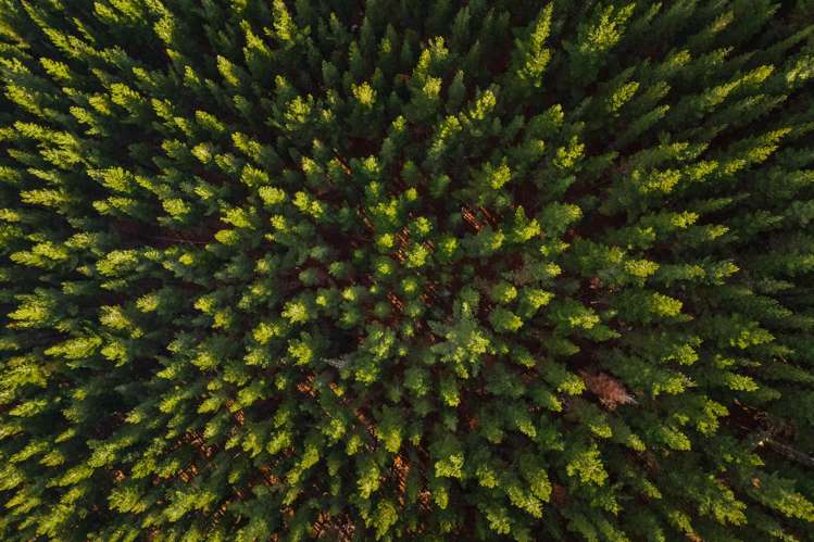 Lot 1 & 5 Ripponvale Road Cromwell_6