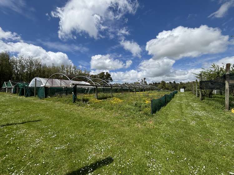 22A Walkers Road Longburn_28