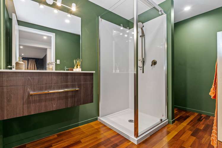 32 Mcdowell Street Springfield_17