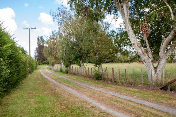 1632 Te Aroha-Gordon Road Manawaru_25