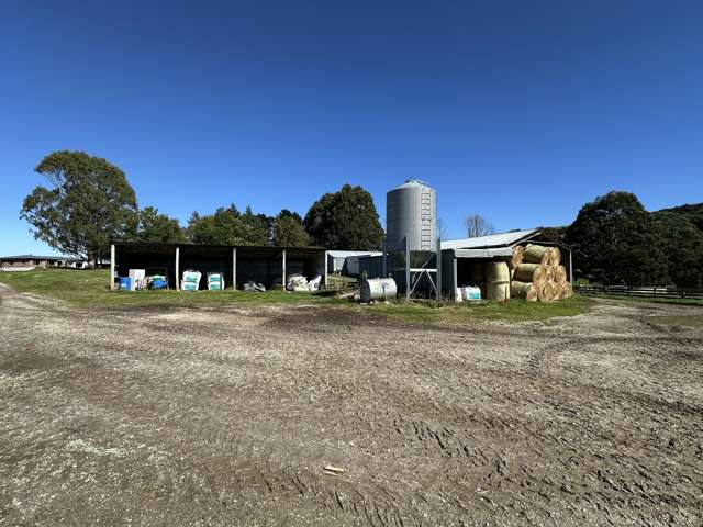 11 Domain Road and 2308 Glencoe Highway Hedgehope_4