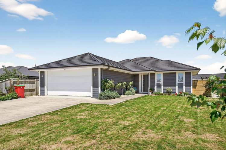 5 Maple Grove Masterton_2