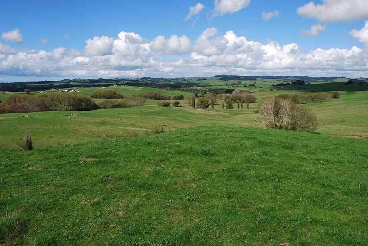Kaiwaka-Mangawhai Road Kaiwaka_15