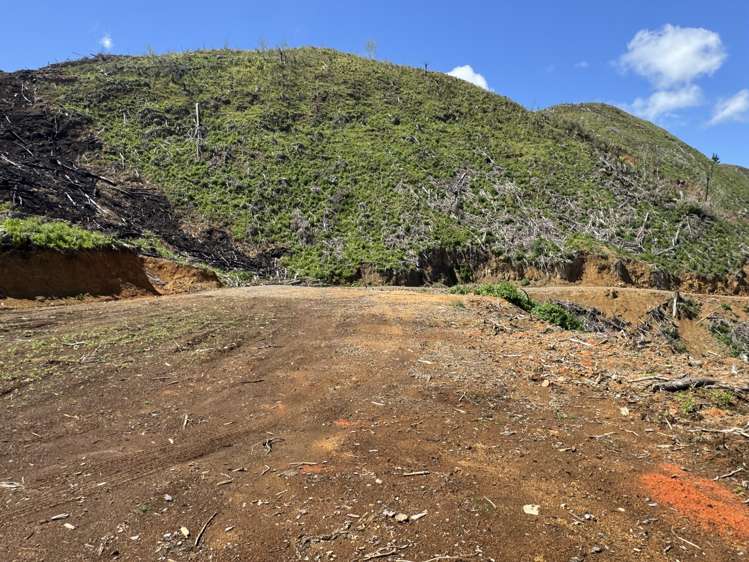 Lot 4 Brown Road Kawhia_16