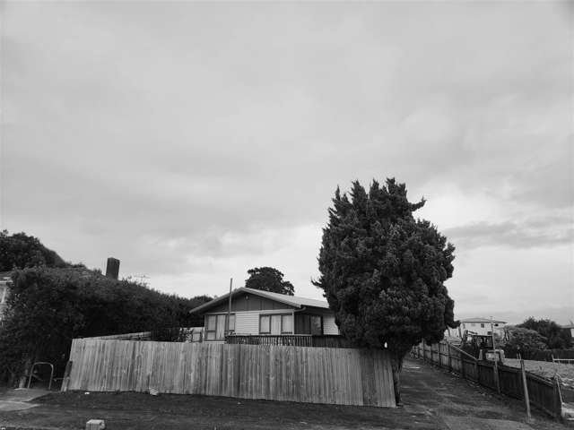 26 Cape Road Mangere_2