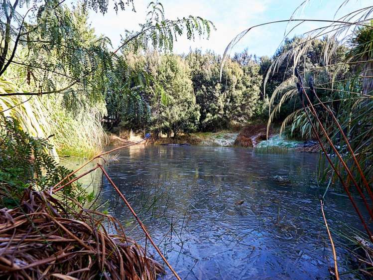 51 Terako Terrace Lyford_24