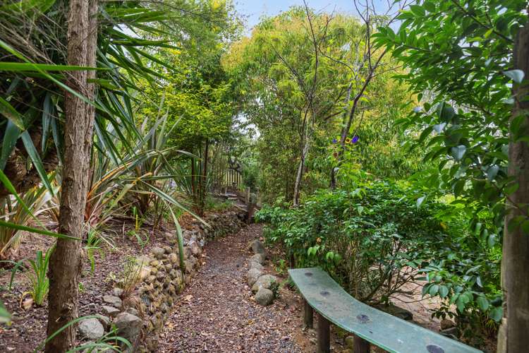 50 Whitaker Street Te Aroha_17