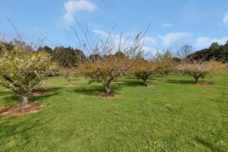 159 Tangihua Road Maungakaramea_9