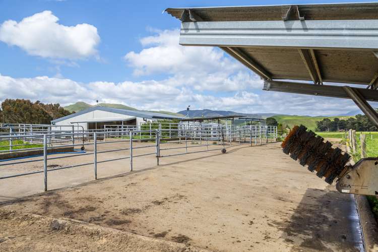 125 Larsen Road Eketahuna_5