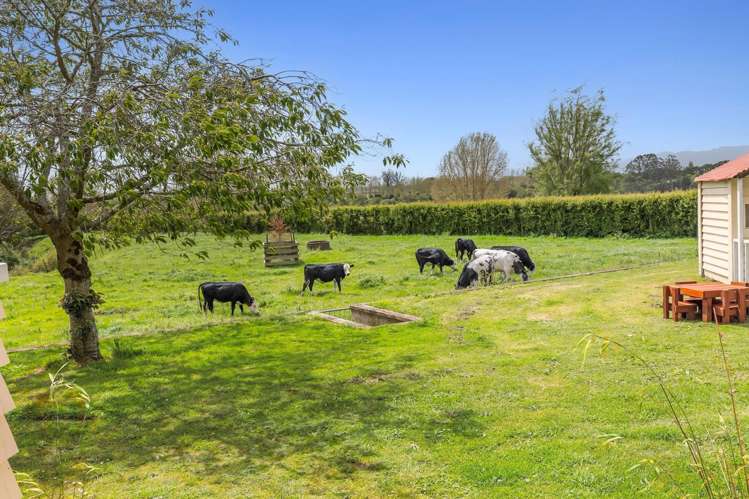 237 Taihoa South Road Matamata_27