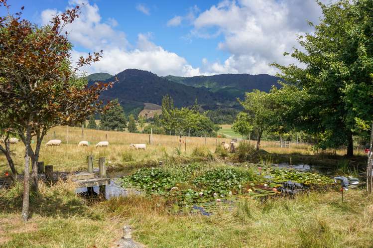 281 Tadmor-Bushend Road Tapawera_20