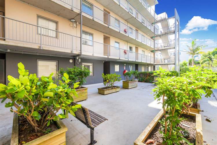 Gc/19 Morning Star Place Mount Albert_15