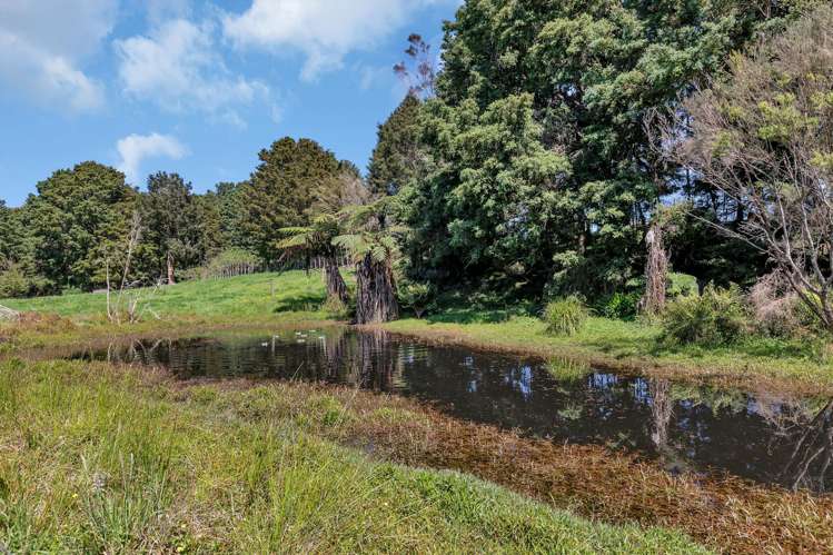 Knight Road Ruatangata_14