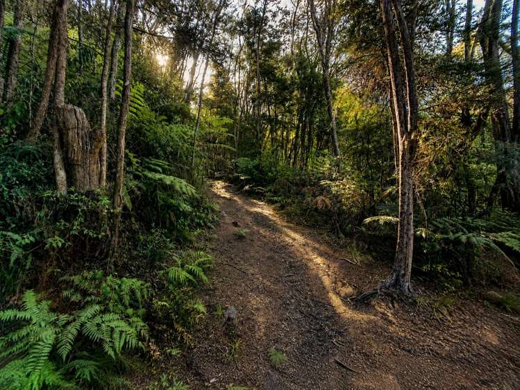 723B Whangarei Heads Road Parua Bay_22