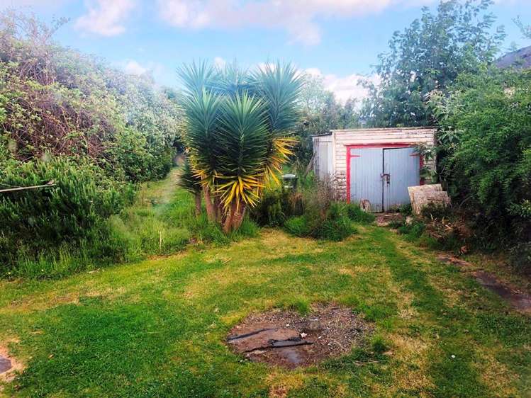 5 Rosedale Avenue Mount Eden_5