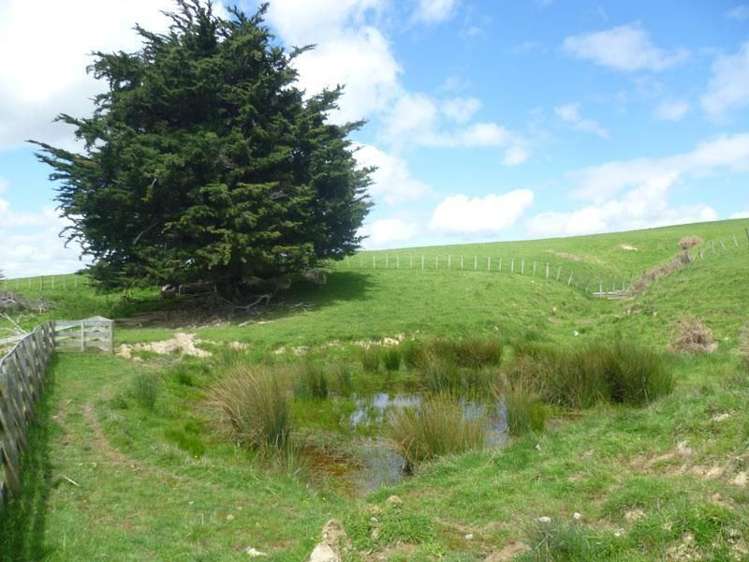 115 Chester Park Road Carterton_7