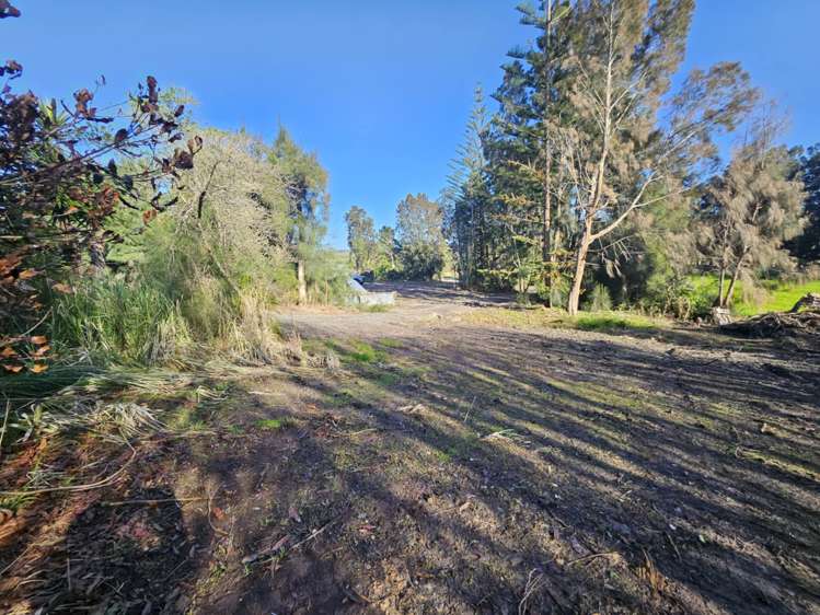 4873 State Highway 10 Lake Ohia_10