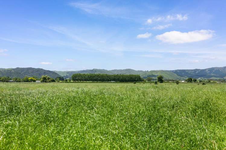 5659 State Highway 26 Te Aroha_2