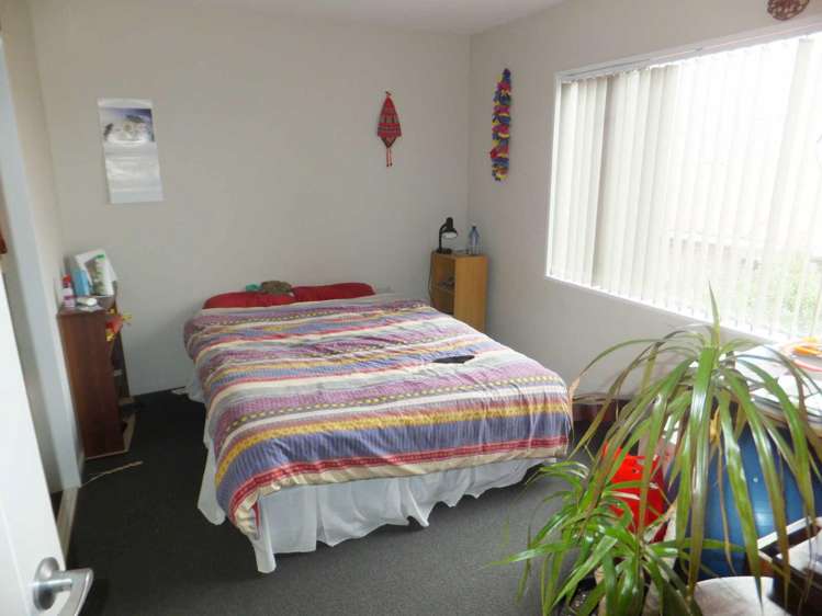 17a Bolton Avenue Spreydon_5