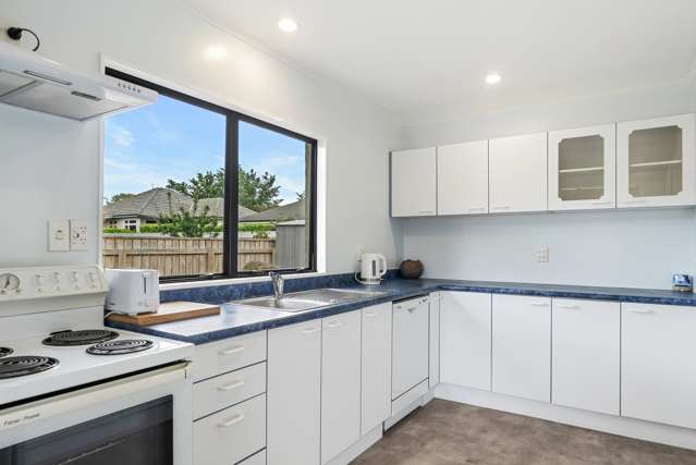 174 Bartholomew Road Levin_3