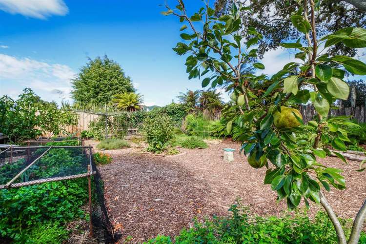 6b Operiana Street Ngongotaha_10