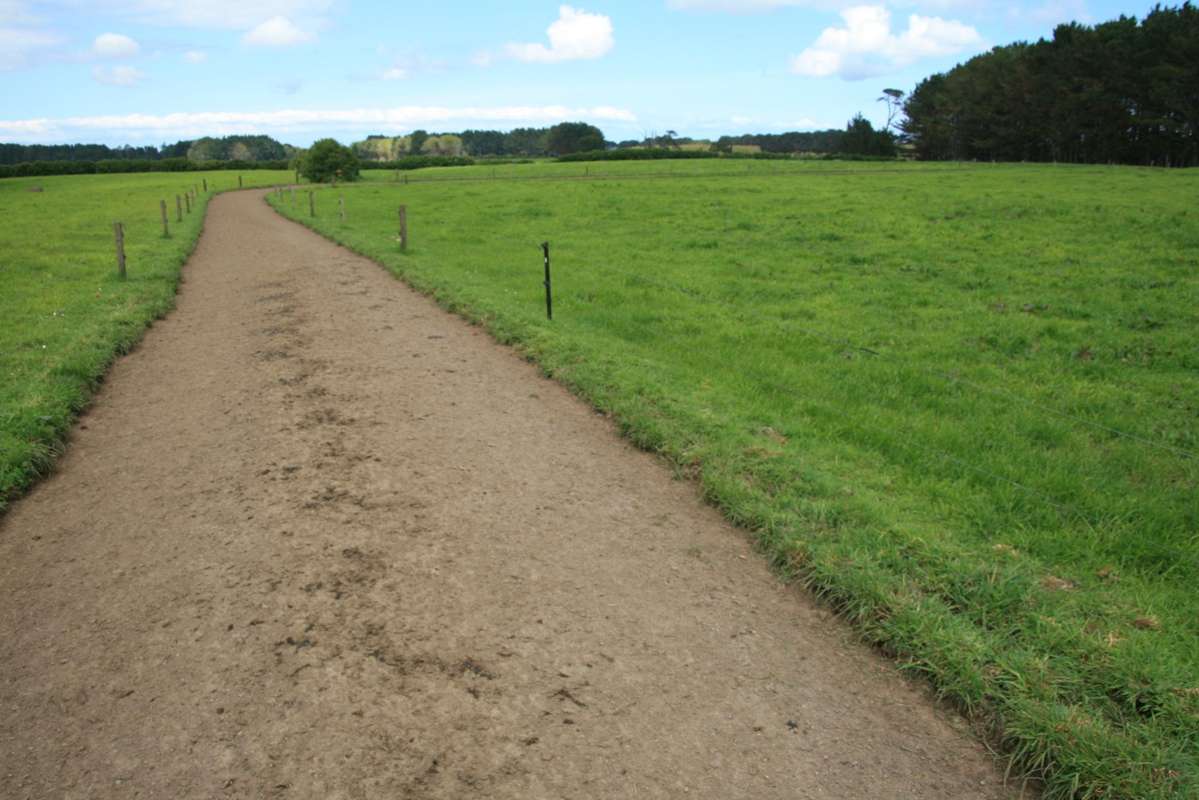 297 Mangawhero Road_5