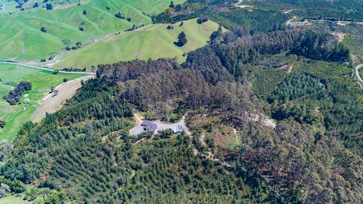 815 Thorpe-Orinoco Road Thorpe_19