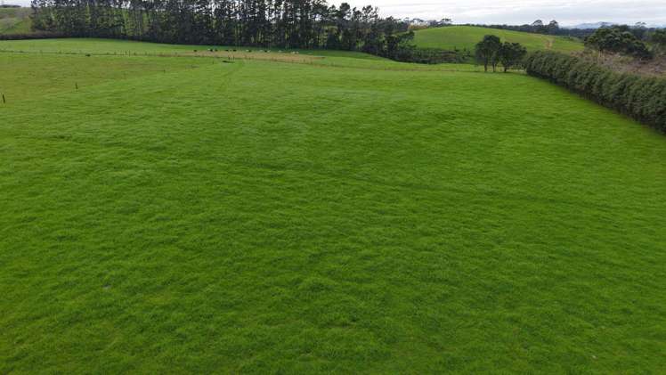 Lot 3 Ness Road_2