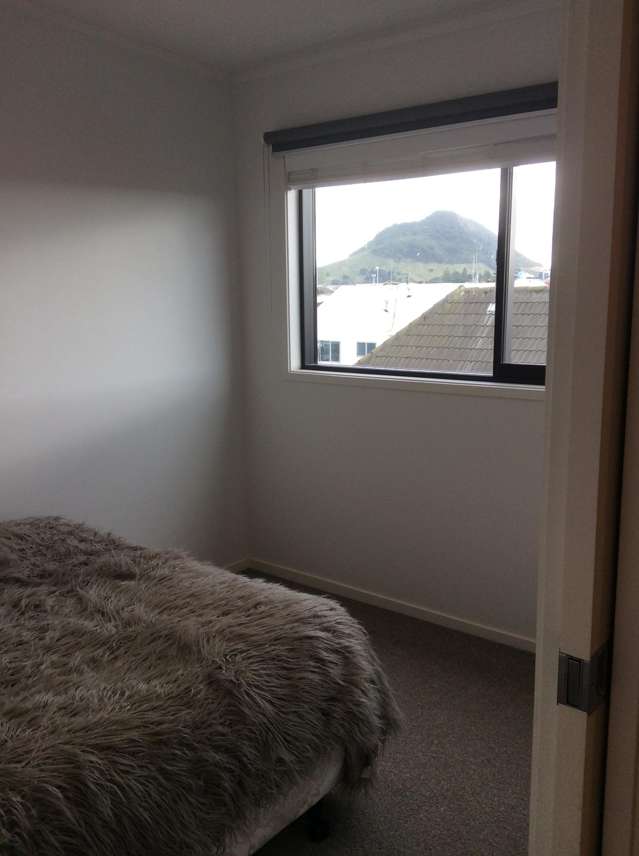 7/33 Miro Street Mt Maunganui_3