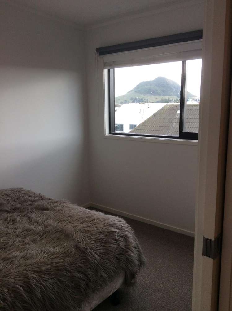 7/33 Miro Street Mt Maunganui_3