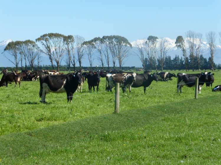 282 Braemar Lauriston Road Lauriston_15