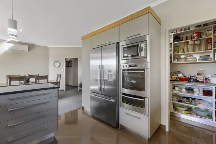 8 Pitt Road Hillsborough_8