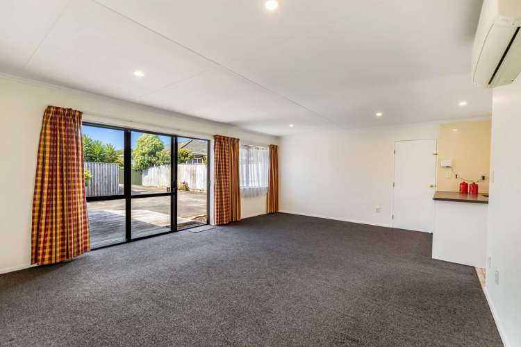 24a Rangitira Avenue Palmerston North Central_6