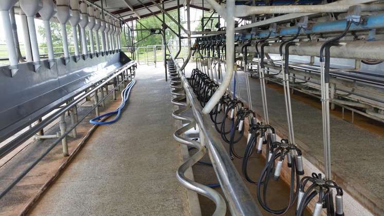 851 Hutchinson Road Morrinsville_4