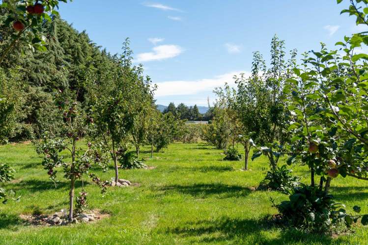 34 Bidwills Cutting Road Greytown_37