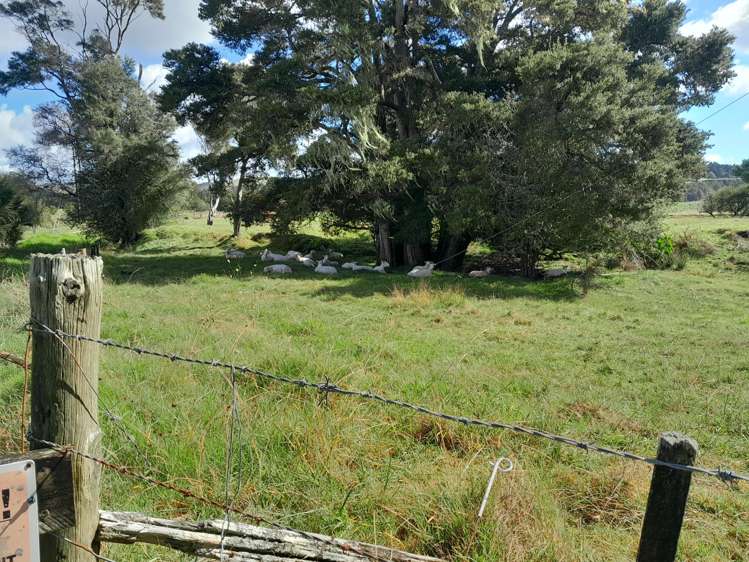 596 Waimate North Road Kerikeri_11