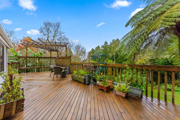 458 Ponga Road Opaheke_17