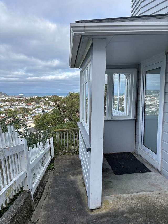 111A Rakau Road Hataitai_1