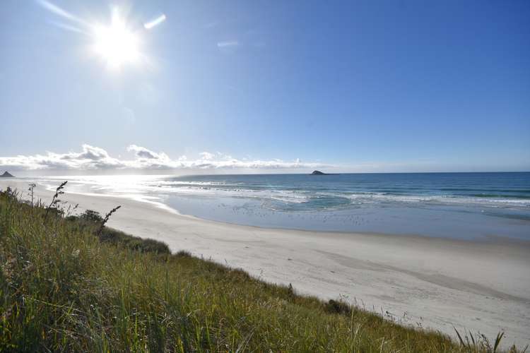 601a Brighton Road Westwood_9