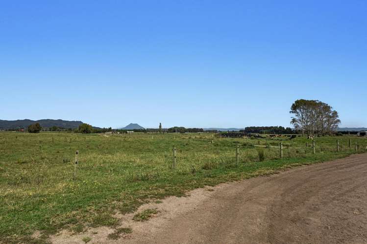 379B Powdrell Road Awakeri_19