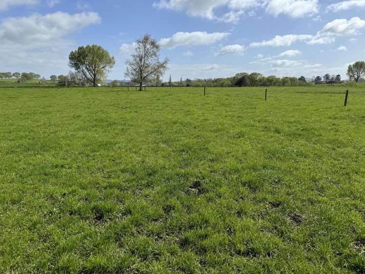 260 Maihiihi Road Maihiihi_26