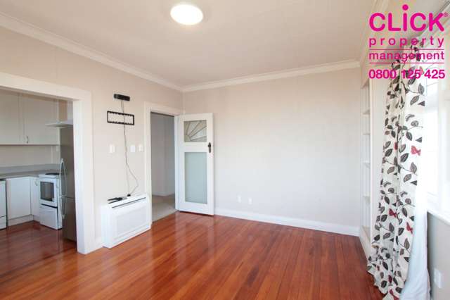 111 Mornington Road Kenmure_1