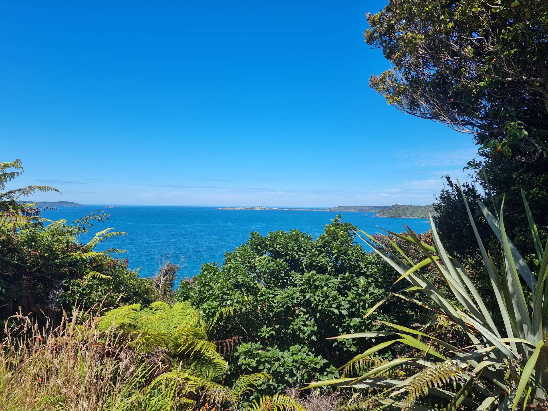 1 Traill Road Stewart Island/Rakiura_0