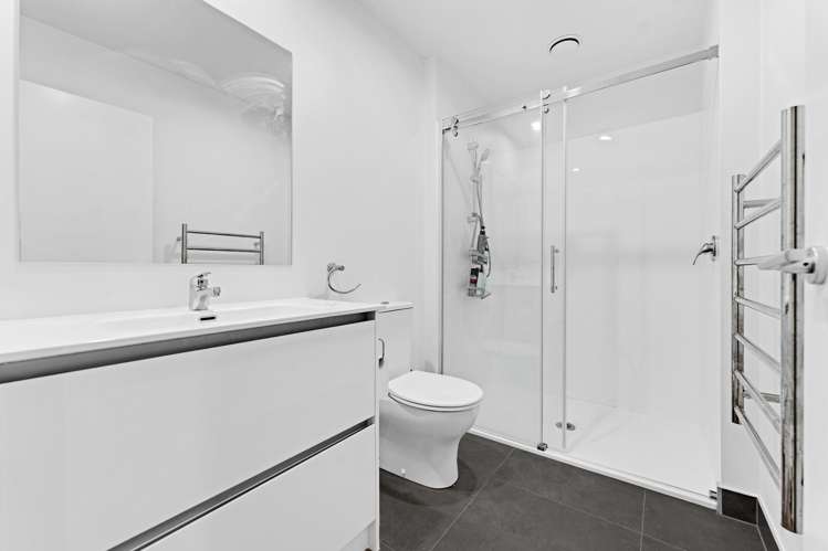 38 Salvia Lane Flat Bush_14