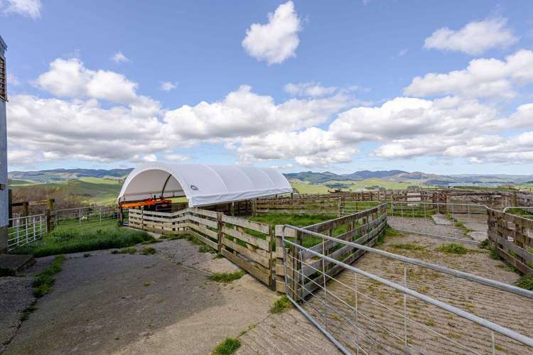 2256 Weber Road Dannevirke_25