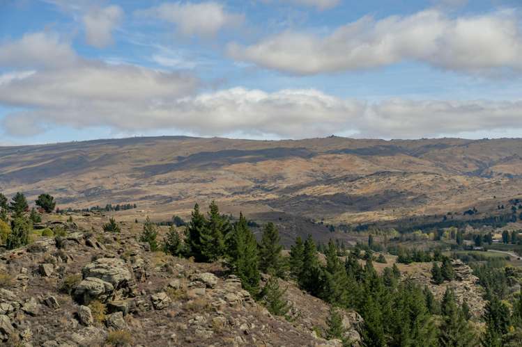 28 Lanes Road Bridge Hill_13