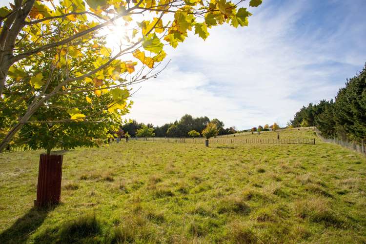 1204j State Highway 3 Kai Iwi_5